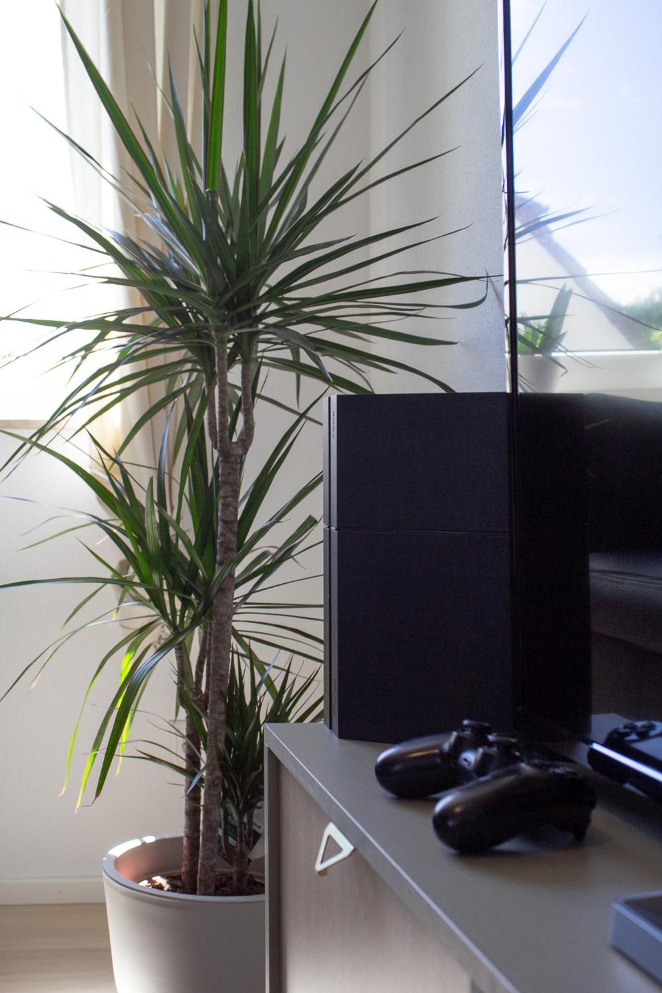 Im Luftkurort Kisslegg, Frisch Renoviert, Balkon, Boxspringbetten, Smarttv, Playstation, Kaffevollautomat, Ruhig, Familienfreundlich Kißlegg
